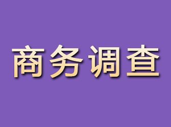 龙沙商务调查